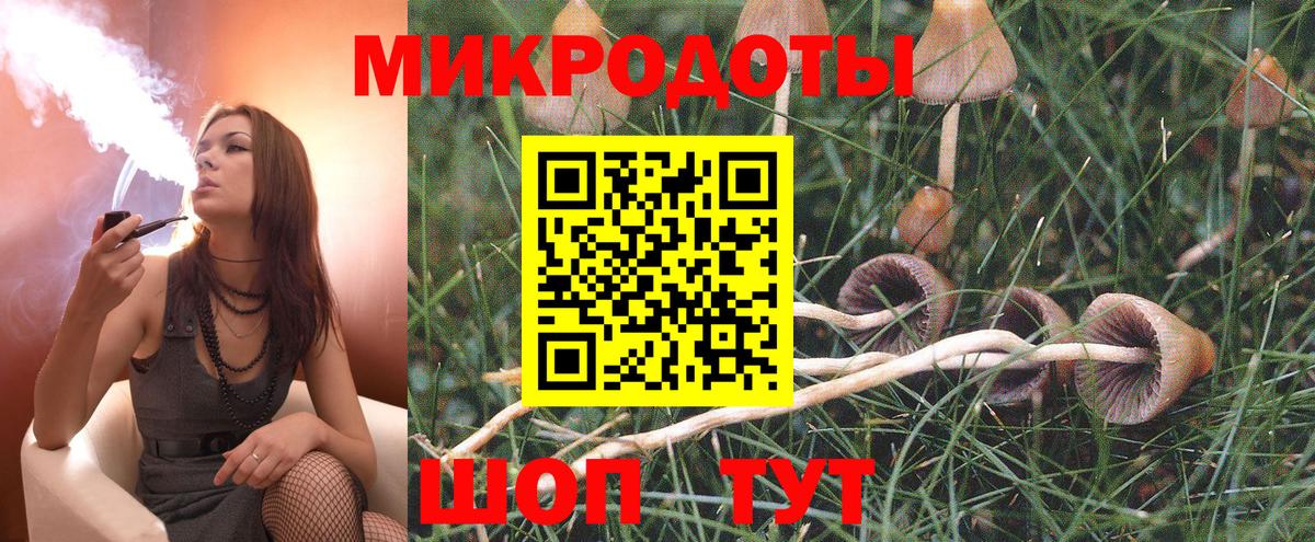 Псилоцибиновые грибы прущие грибы  купить  цена  Вход с VPN  Чистополь  Псилоцибиновые грибы GOLDEN TEACHER 